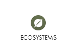 Ecosystems